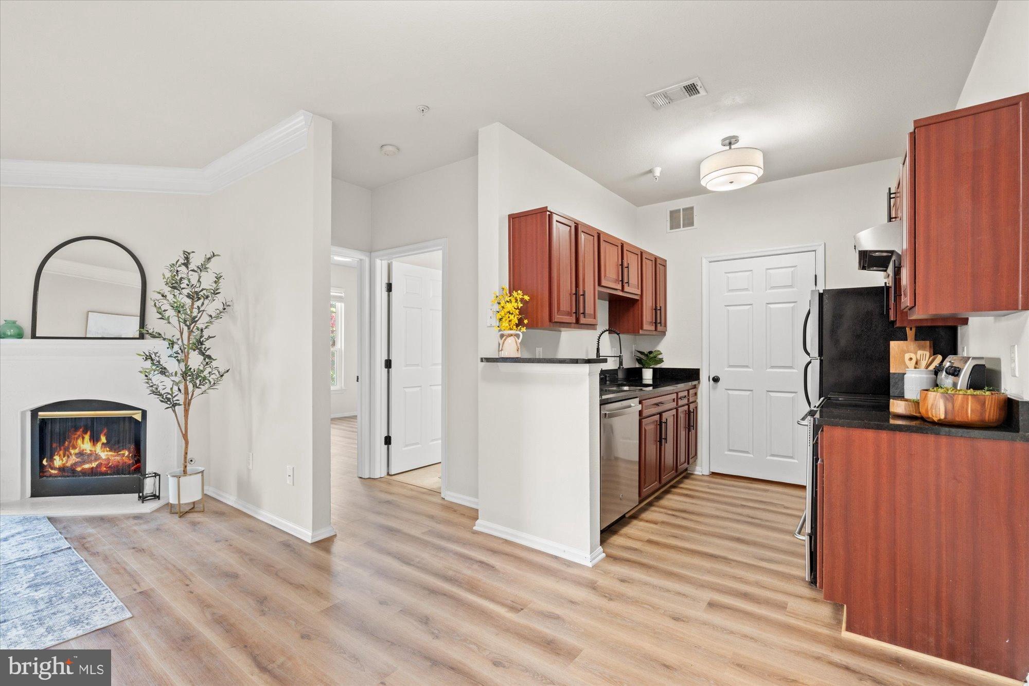 1571 SPRING GATE DRIVE 6213