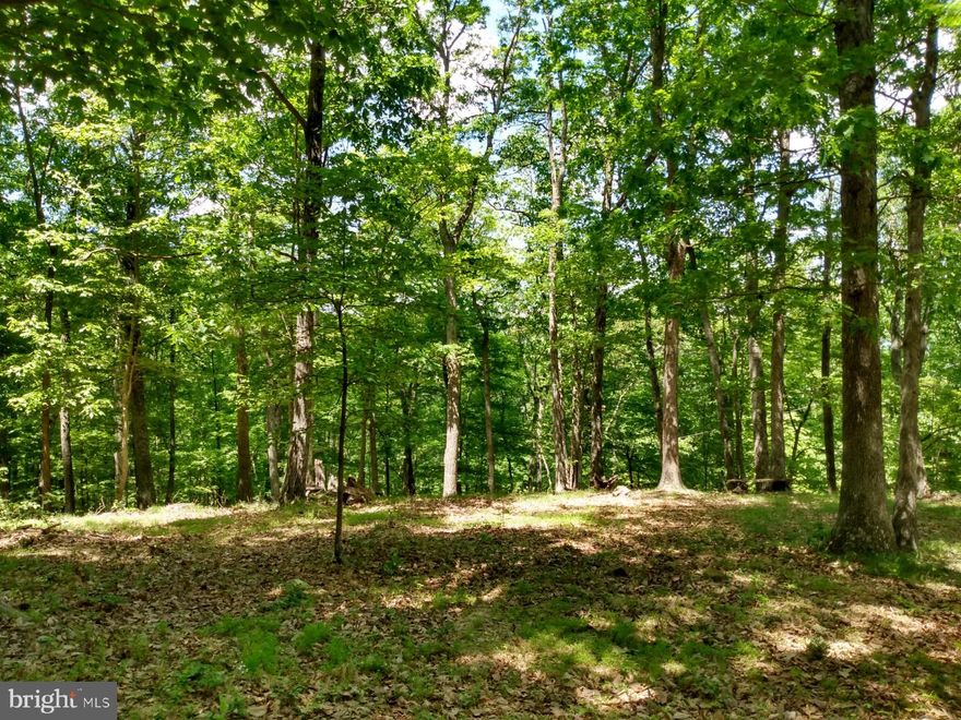 Nice Level wooded lot with Cacapon River access.
