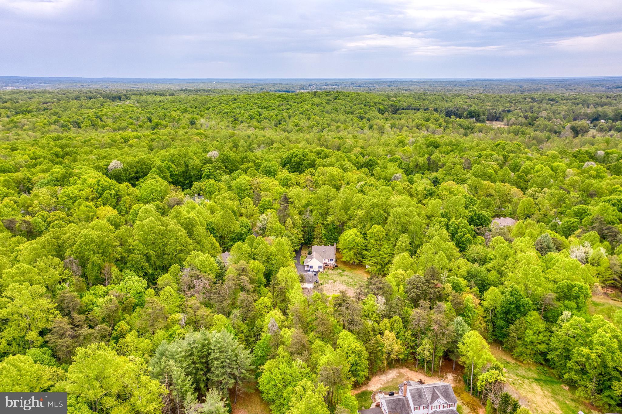 WILDWOOD FOREST - Residential