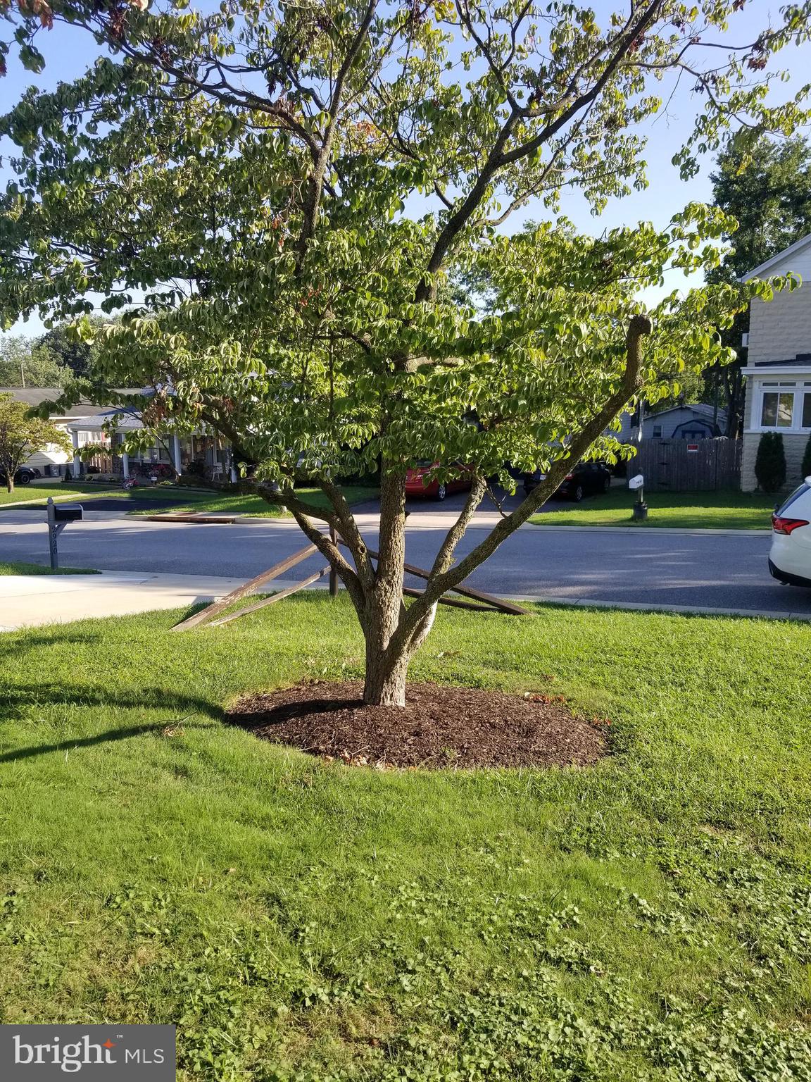 BALTIMORE HIGHLANDS - Residential