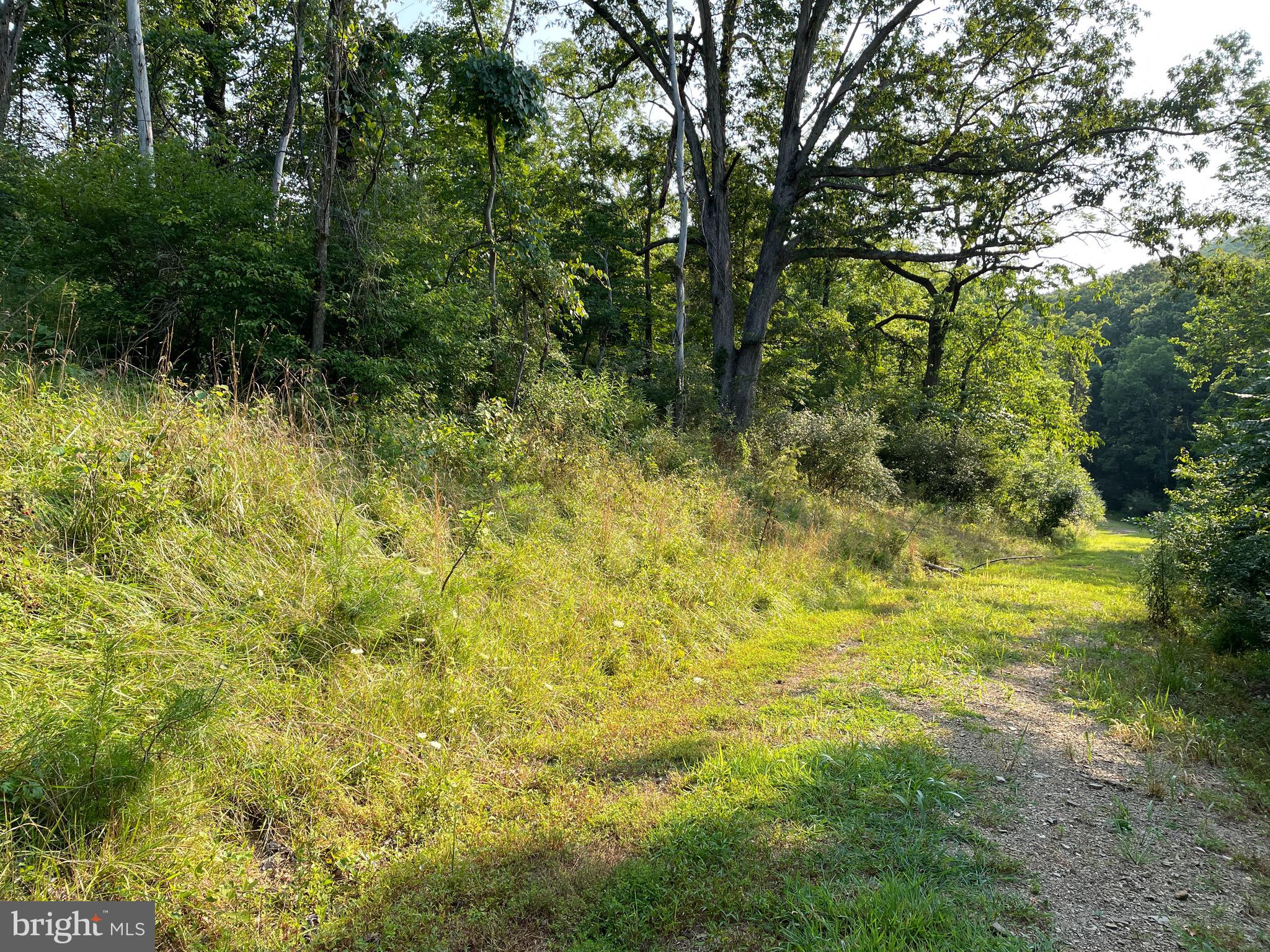 Don't want to deal with a bidding war on current home listings? Why not build you dream home? Get exactly what you want without a fight! Great Location between Romney and Fort Ashby. Just a short distance from Keyser and Cumberland Md. Live in a rural area and commute to work. (Some owner financing may be available.)