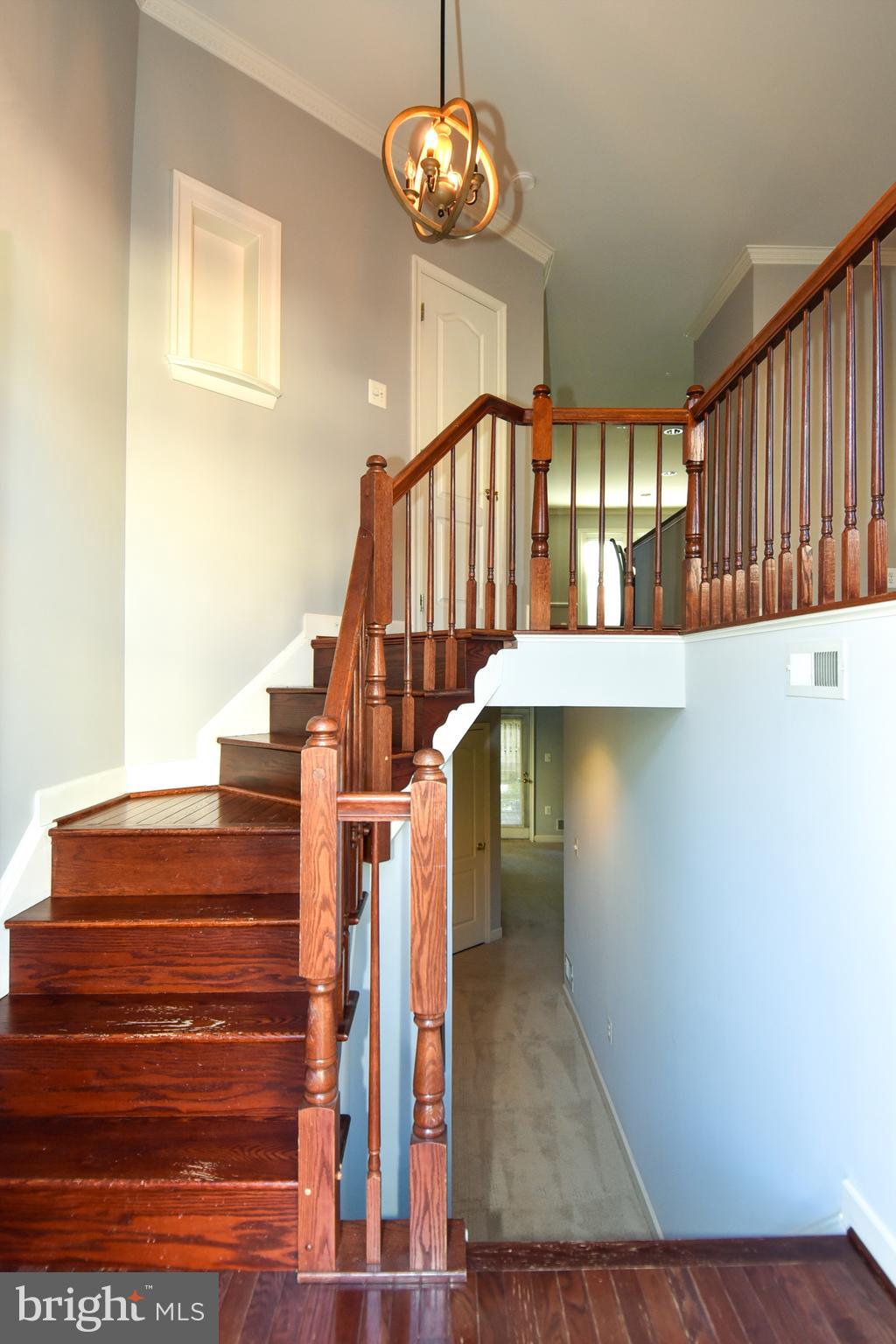 DRYMILL - Residential Lease