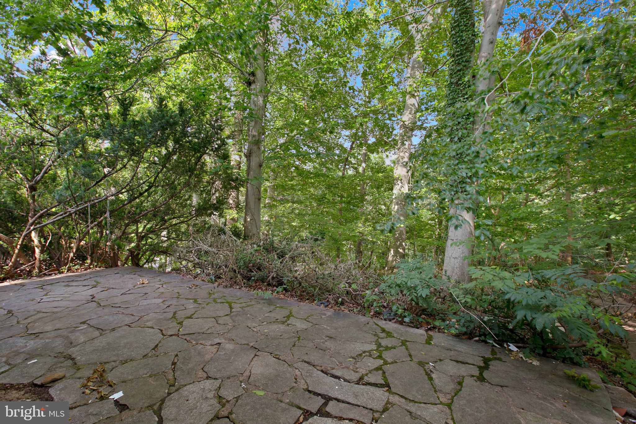 MOUNT WASHINGTON - Residential