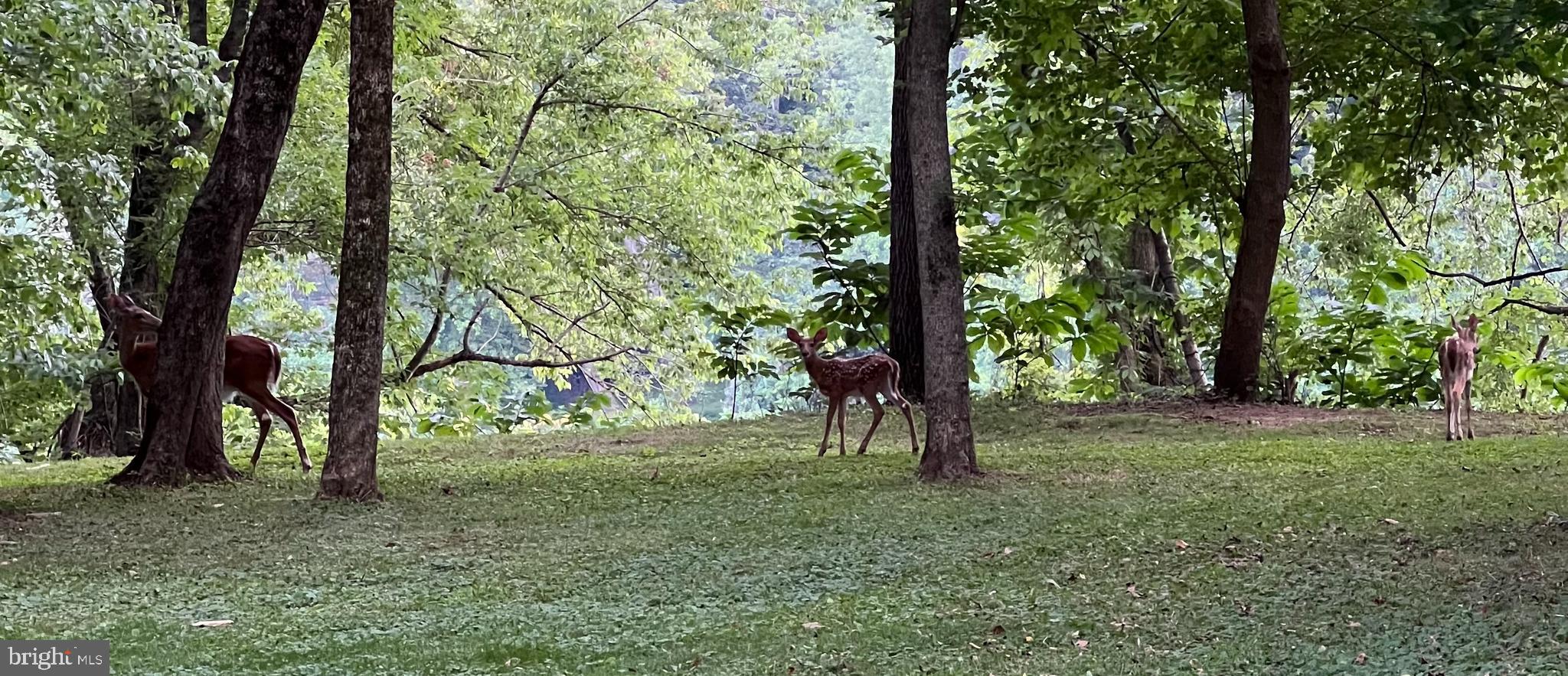 AVON BEND - Residential