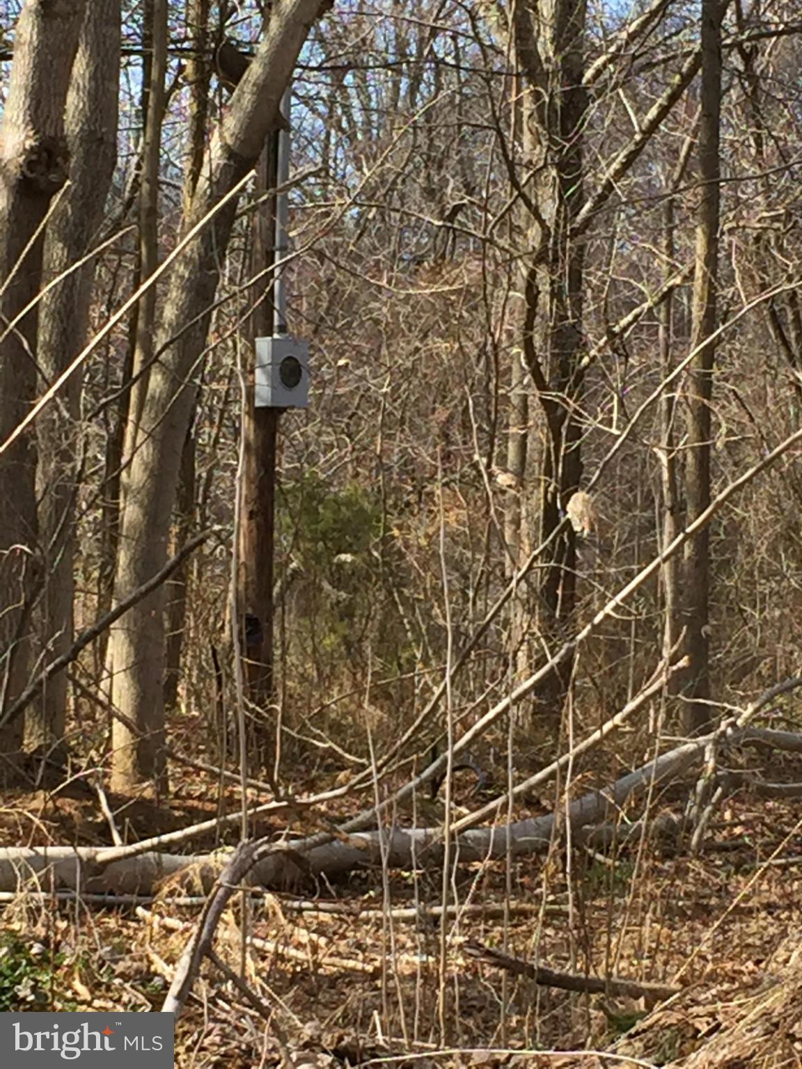 STAFFORD HEIGHTS - Land