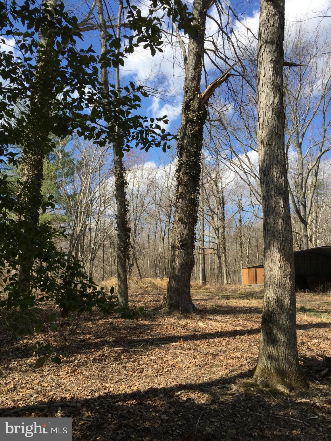 STAFFORD HEIGHTS - Land