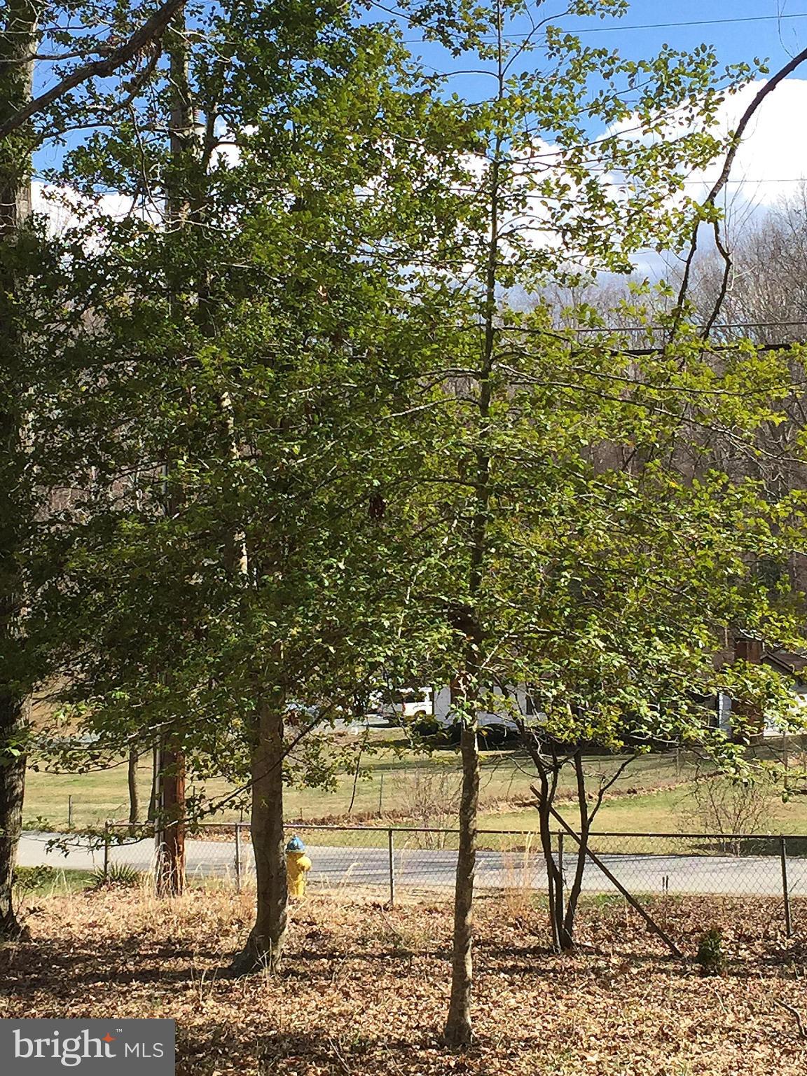 STAFFORD HEIGHTS - Land