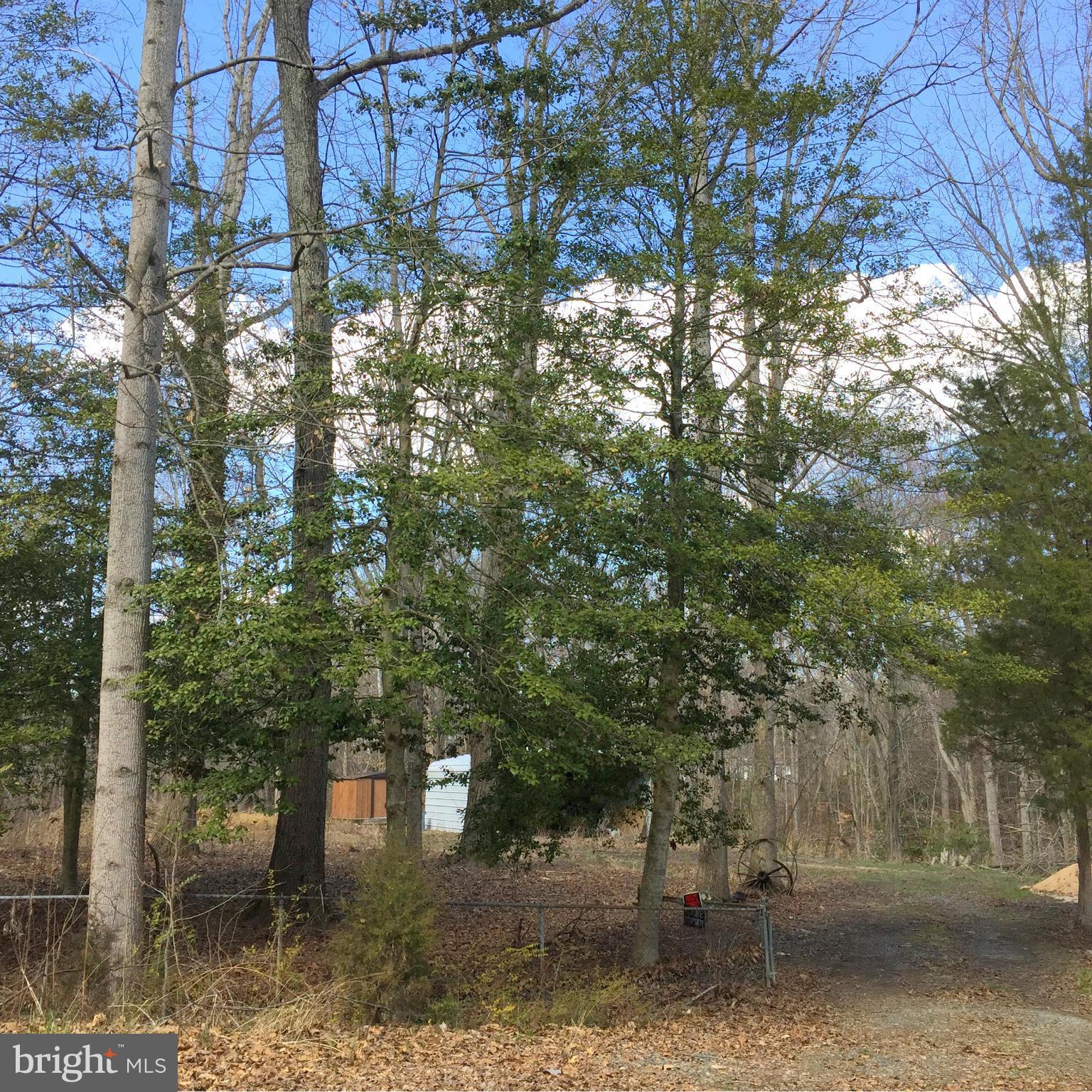 STAFFORD HEIGHTS - Land