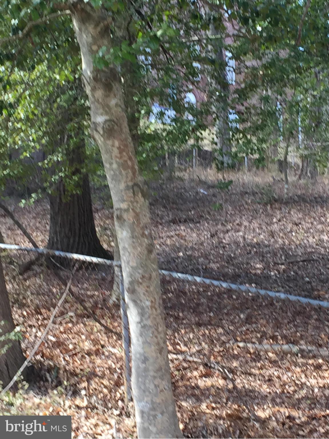 STAFFORD HEIGHTS - Land