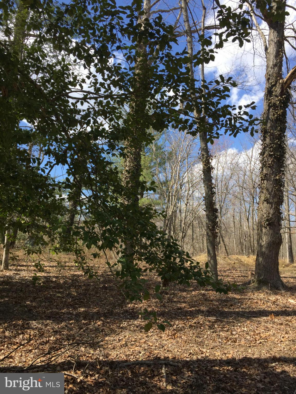 STAFFORD HEIGHTS - Land