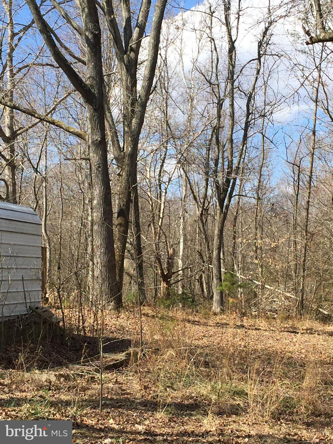 STAFFORD HEIGHTS - Land