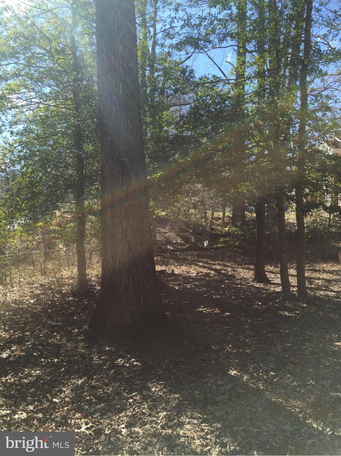 STAFFORD HEIGHTS - Land