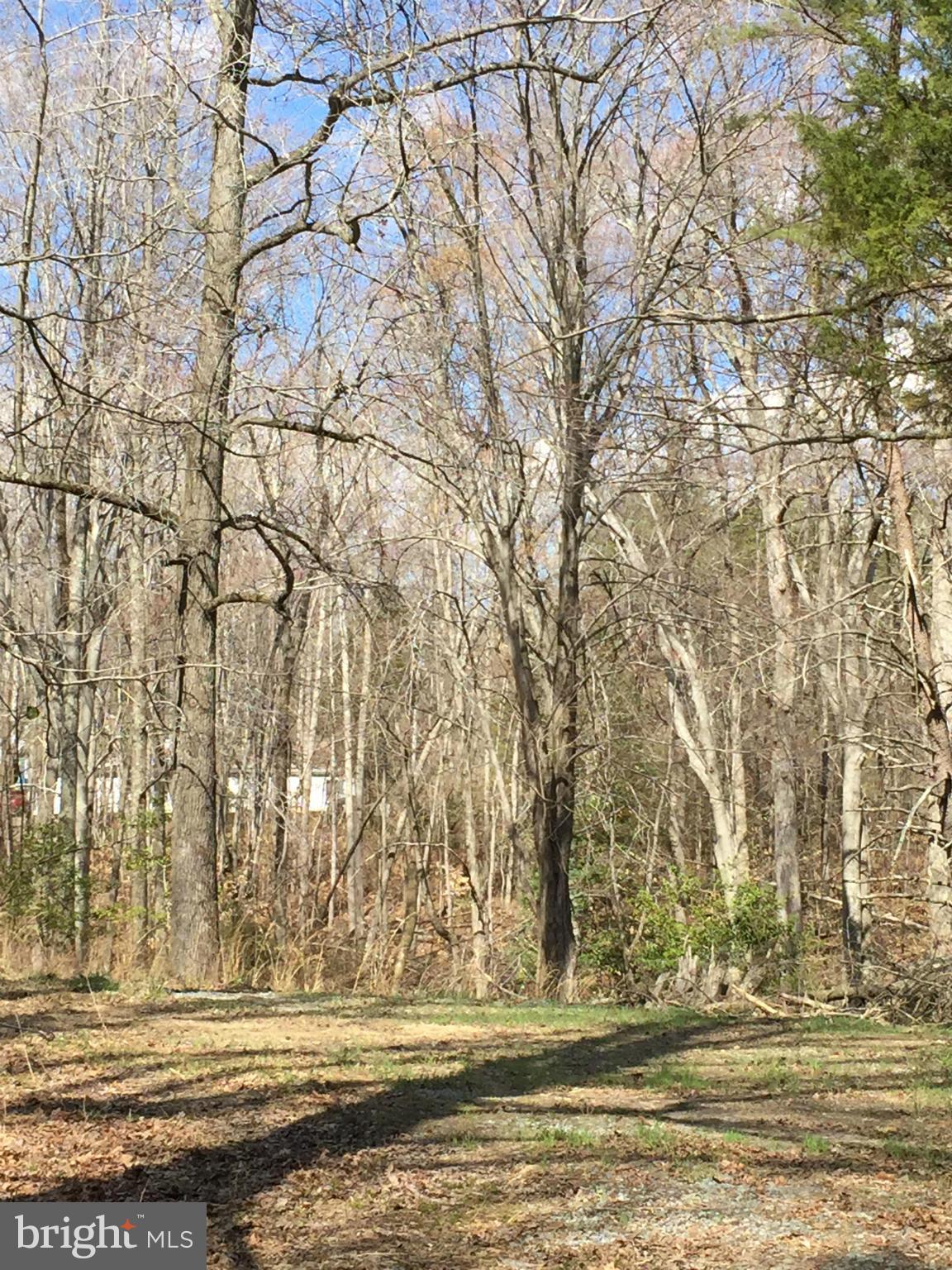 STAFFORD HEIGHTS - Land