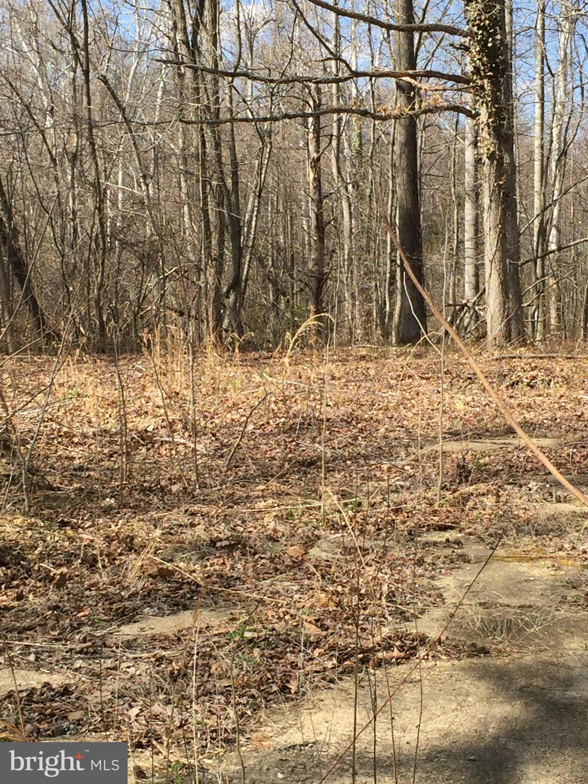 STAFFORD HEIGHTS - Land