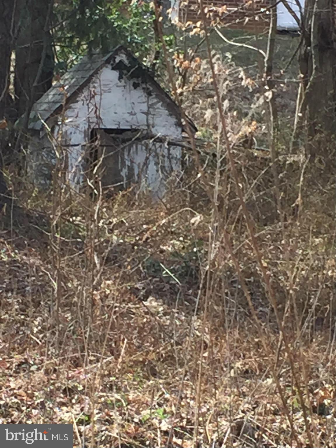 STAFFORD HEIGHTS - Land