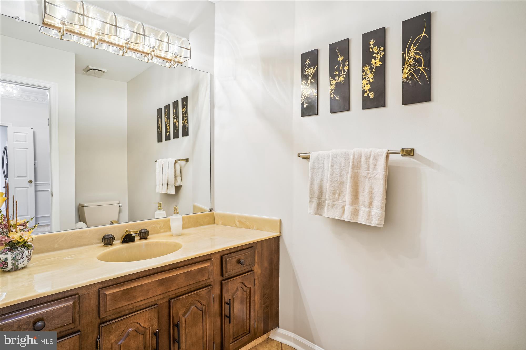 CEDARS OF MC LEAN - Residential