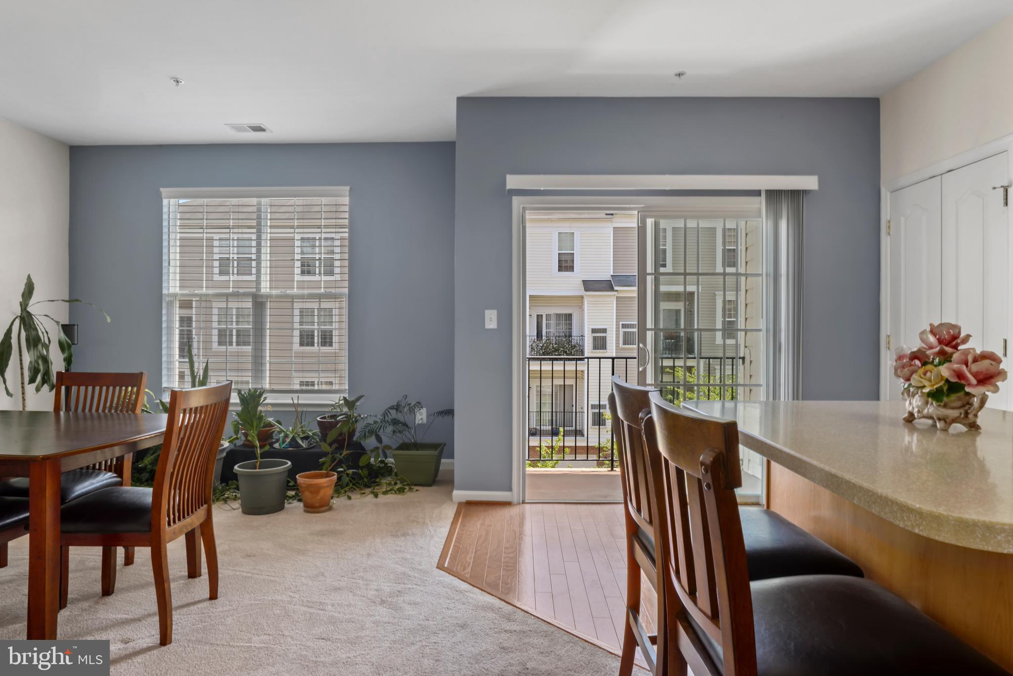 TOWN CENTER AT CAMP SPRINGS - Residential