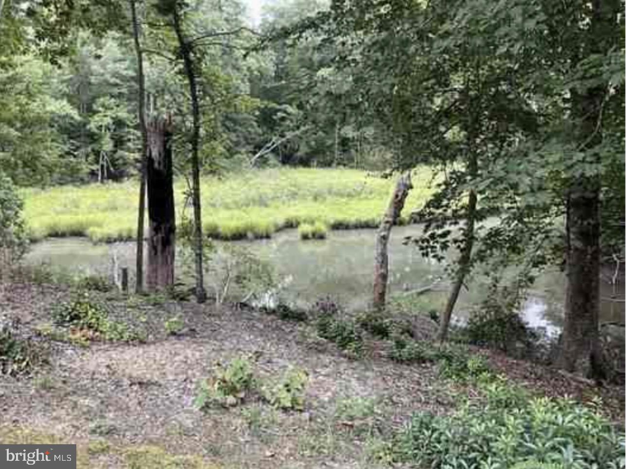 102B BEECHWOOD DRIVE