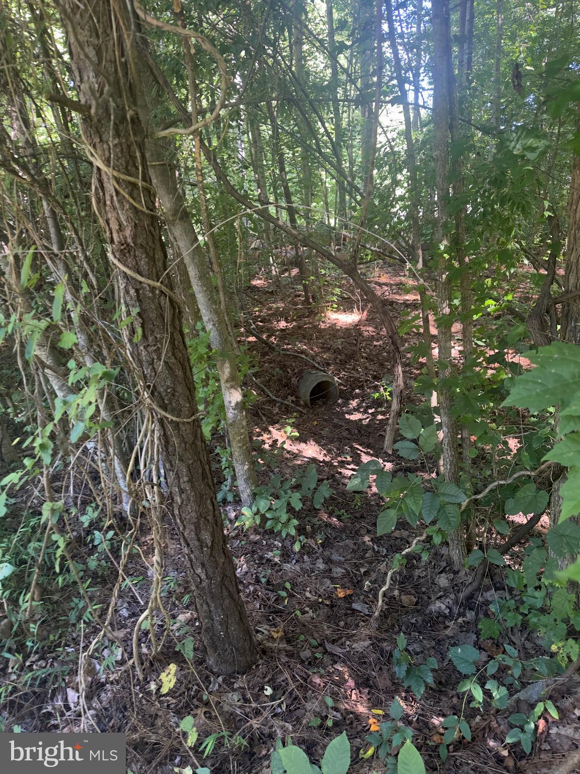 102B BEECHWOOD DRIVE