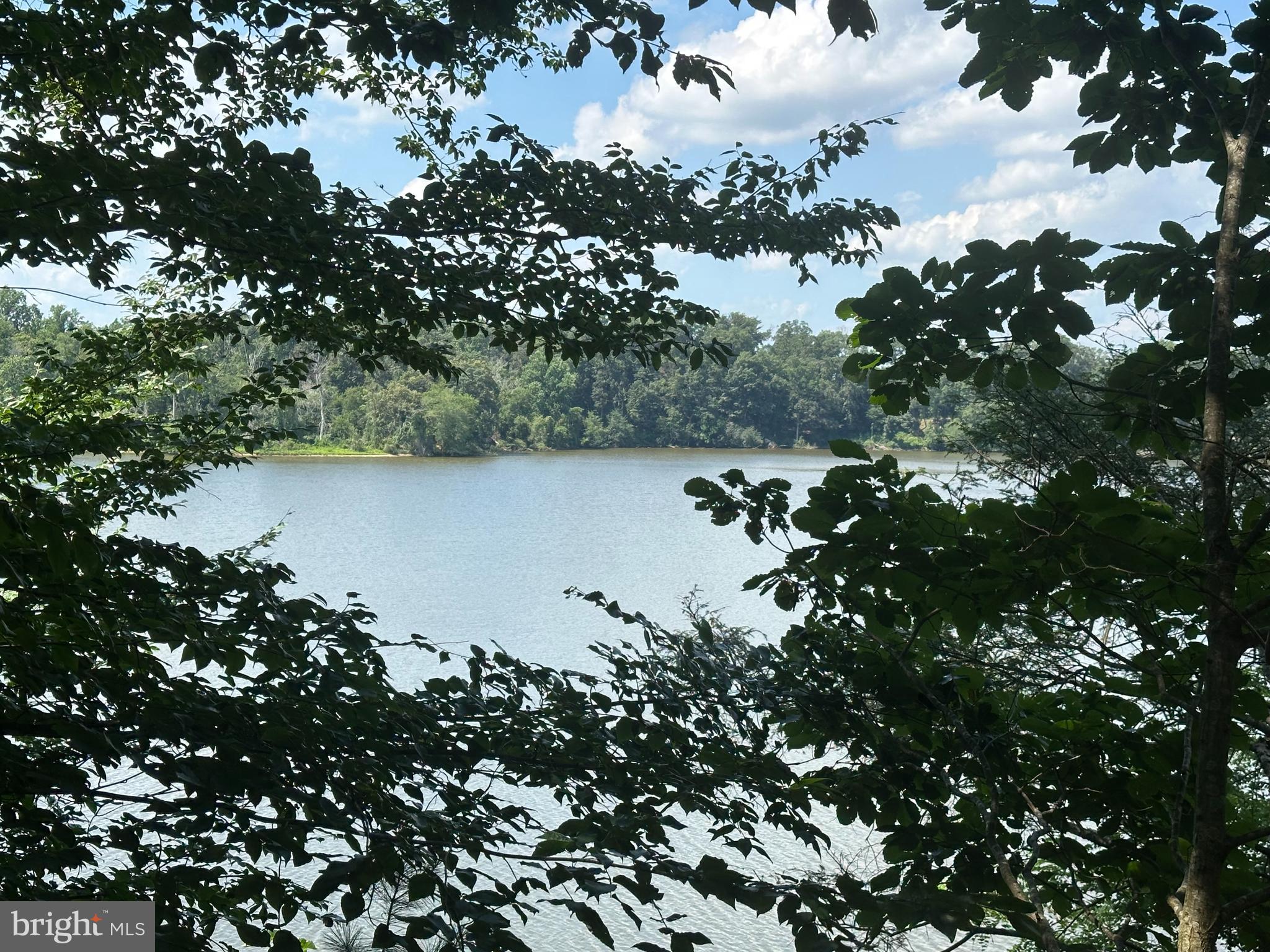 14200 METASEQUOIA COURT