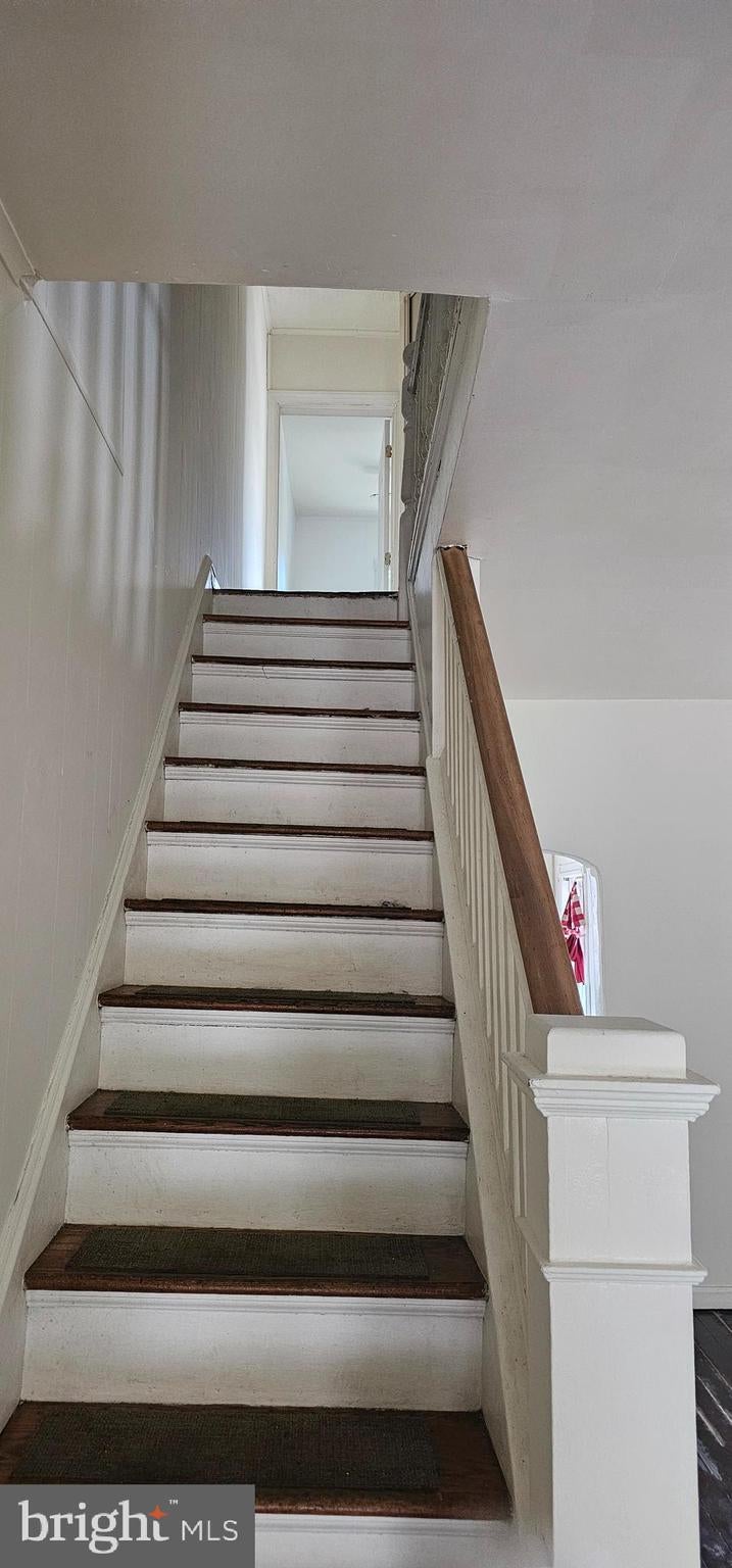 369 SAINT JOES AVENUE