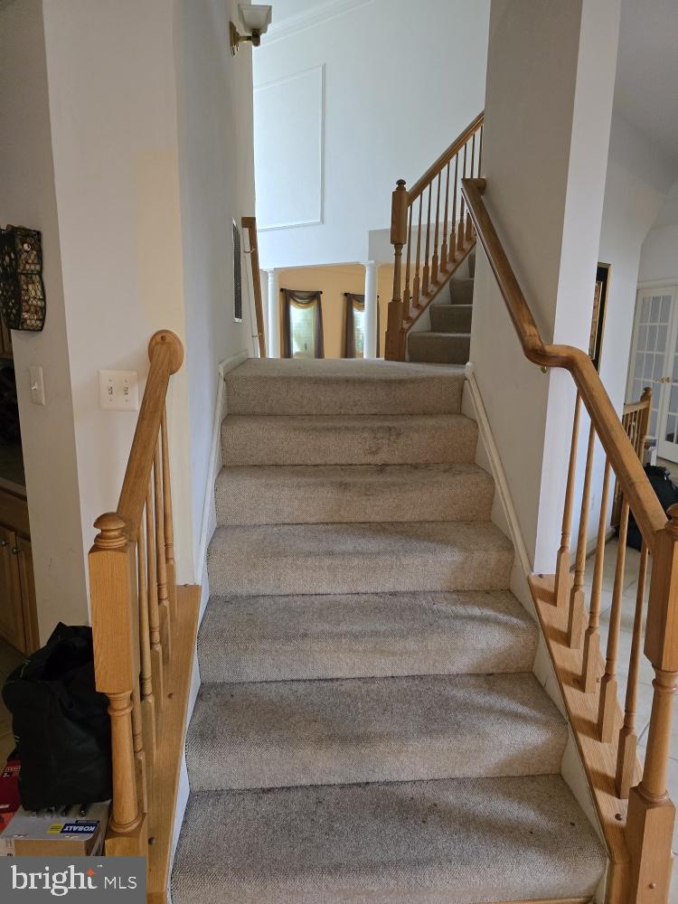 MARY-CATHERINE - Residential