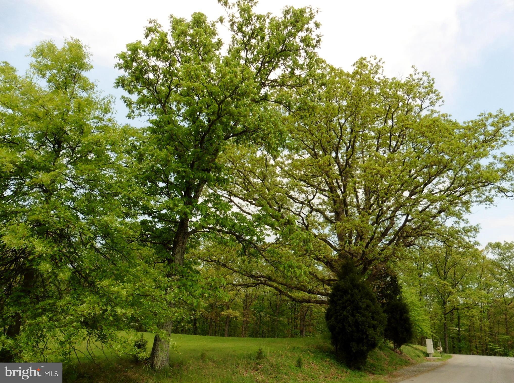 GRANT ACRES ESTATES - Residential