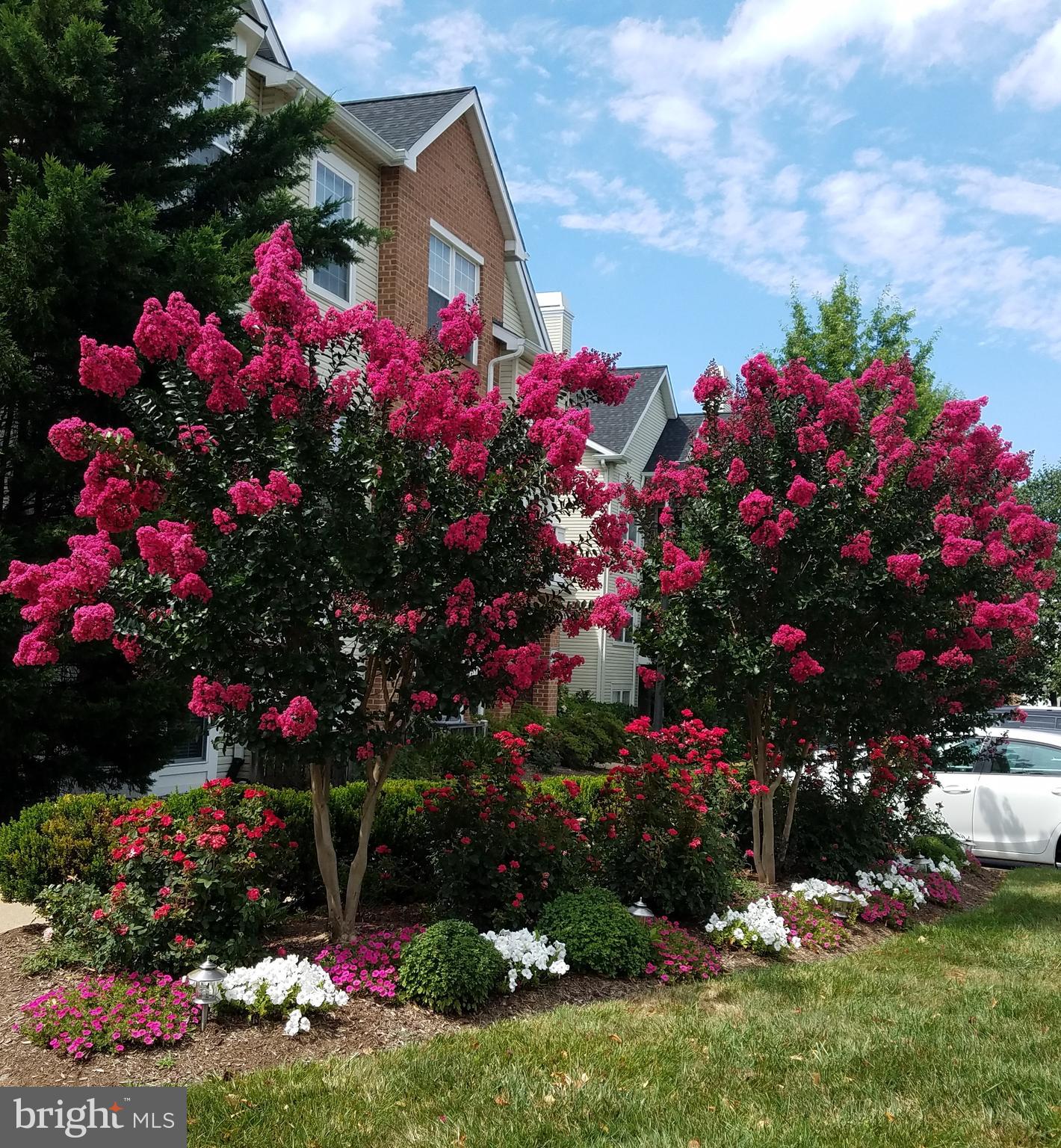 RANDOM HILLS - Residential