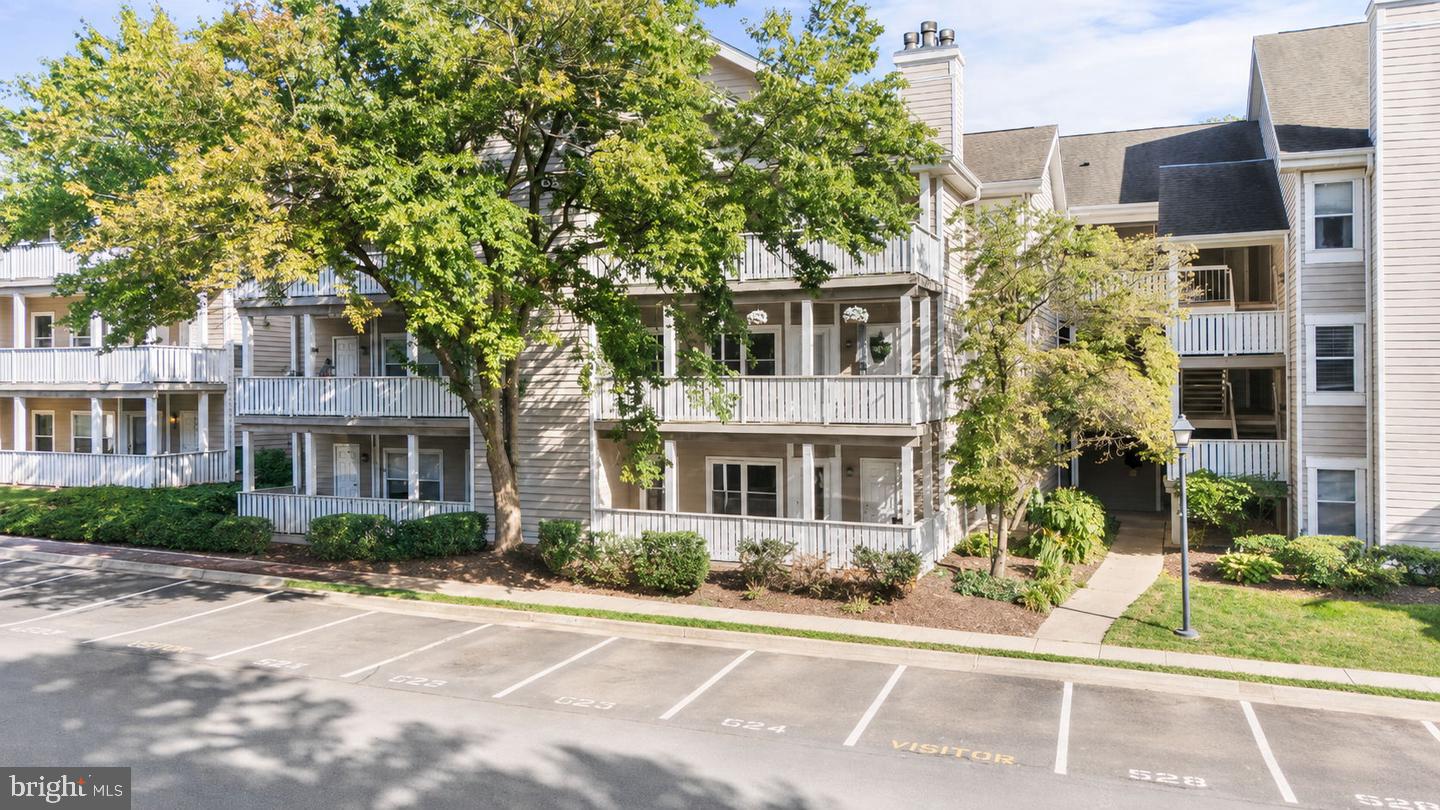 14317 CLIMBING ROSE WAY 104