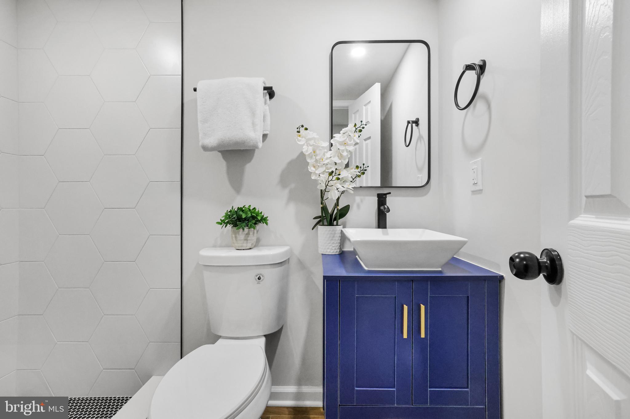 VEIRS MILL VILLAGE - Residential