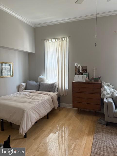 ART MUSEUM AREA - Residential