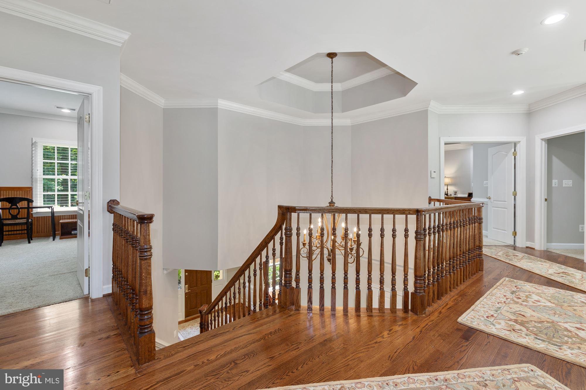 CARDINAL FOREST - Residential