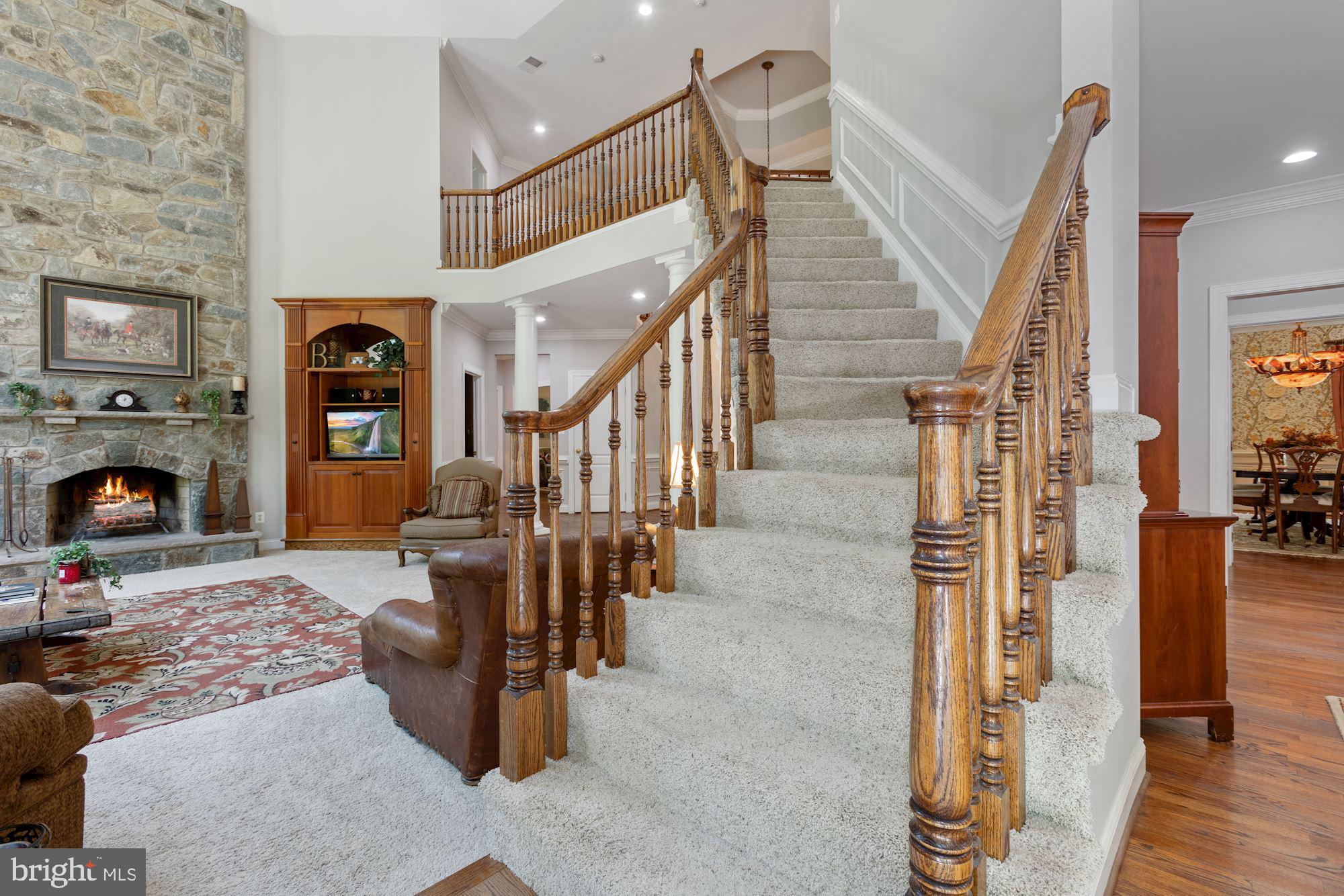 CARDINAL FOREST - Residential