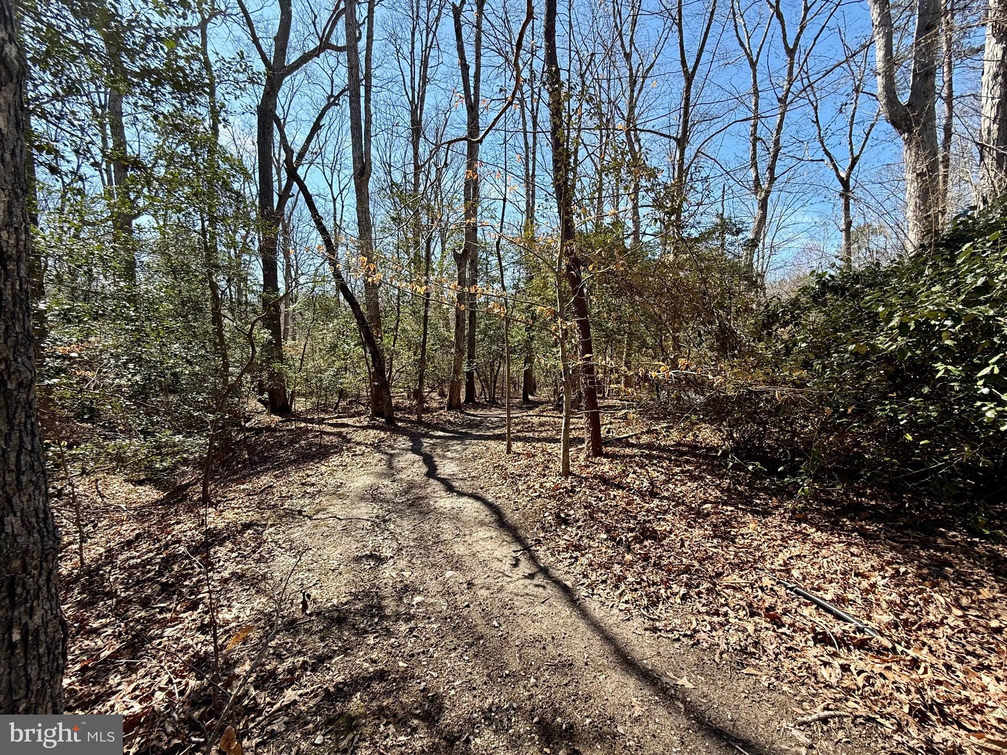 FORREST FARM - Residential