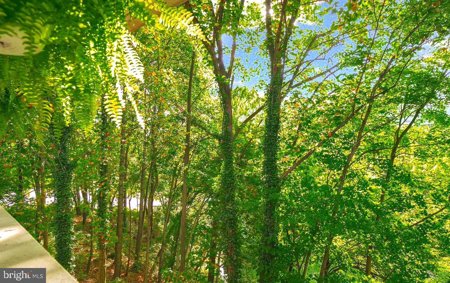 FOUNTAINS AT MCLEAN - Residential