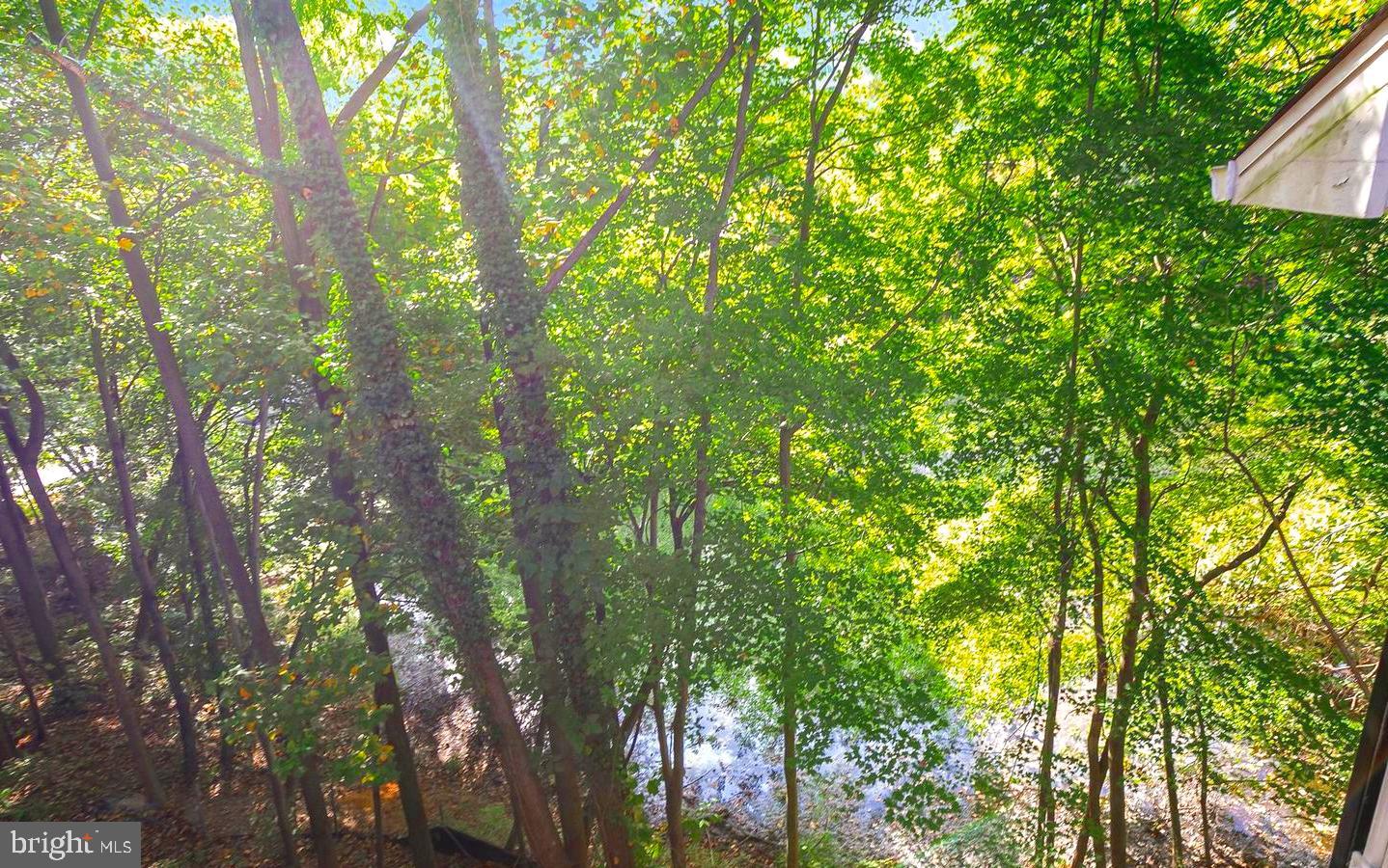 FOUNTAINS AT MCLEAN - Residential