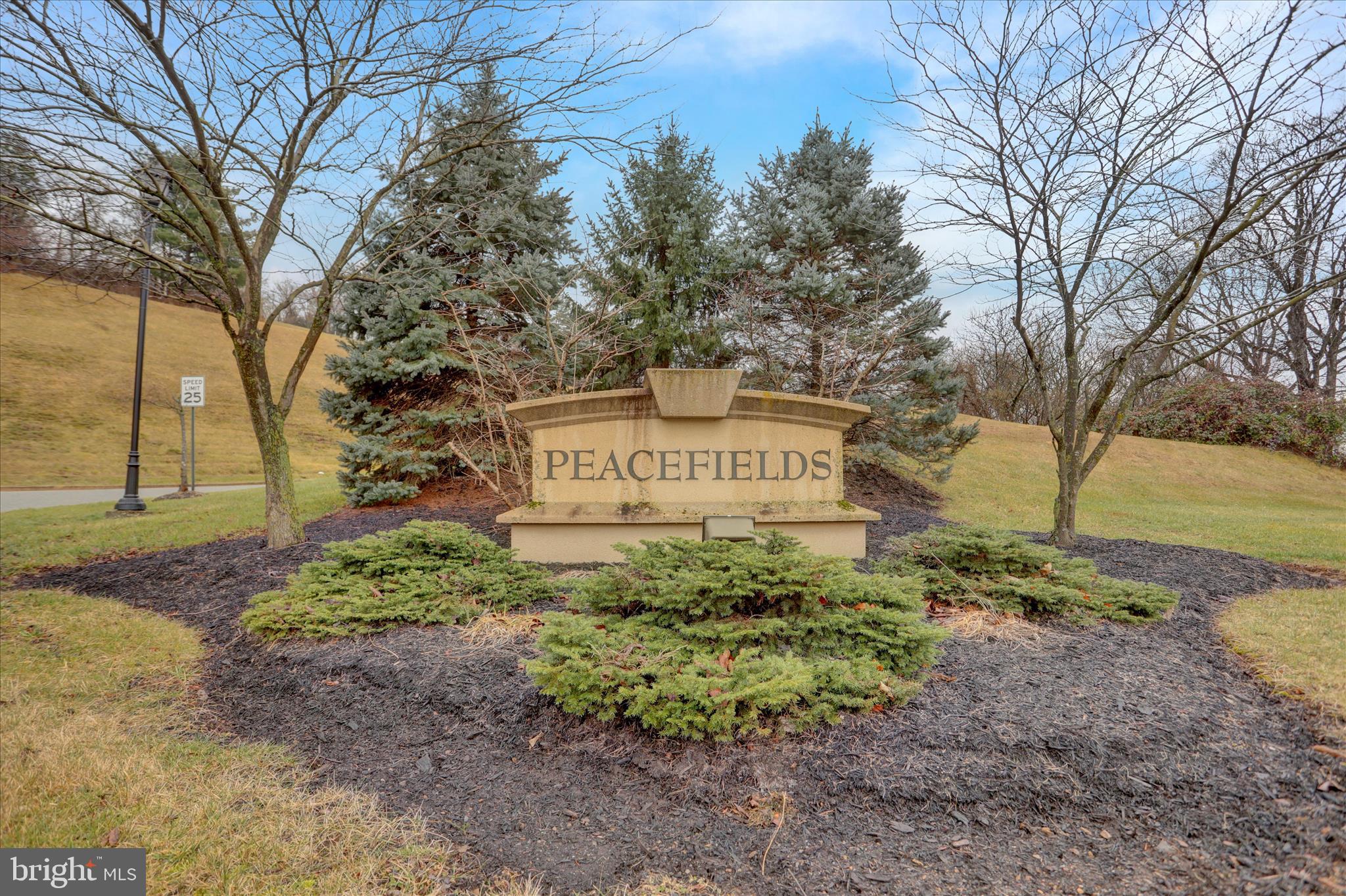 PEACEFIELDS - Residential