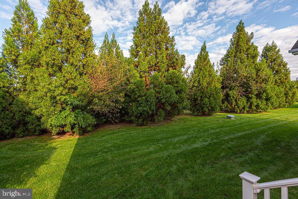 ROWENS MILL - Residential