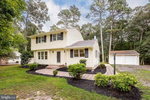 31939 DOWNING ROAD DELMAR MD 21875