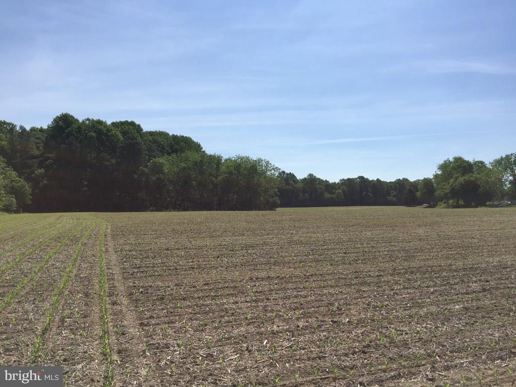 NONE AVAILABLE - Land