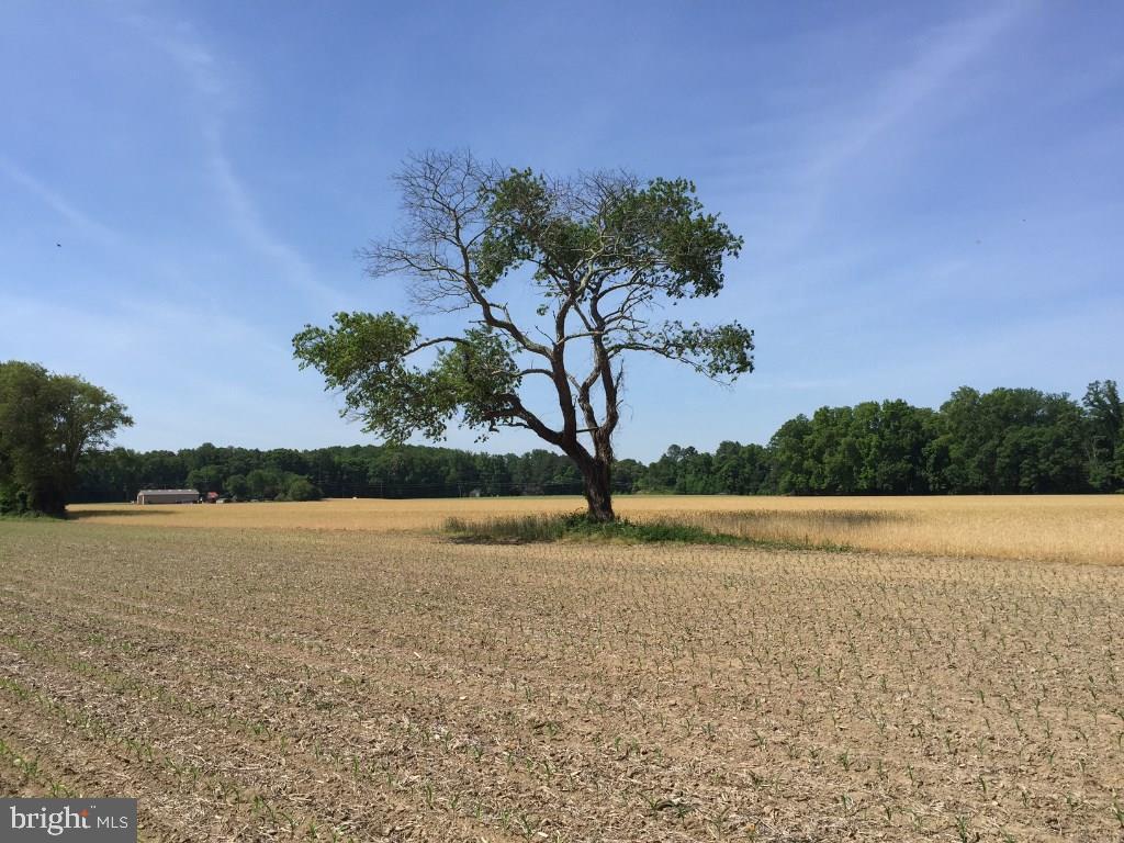 NONE AVAILABLE - Land