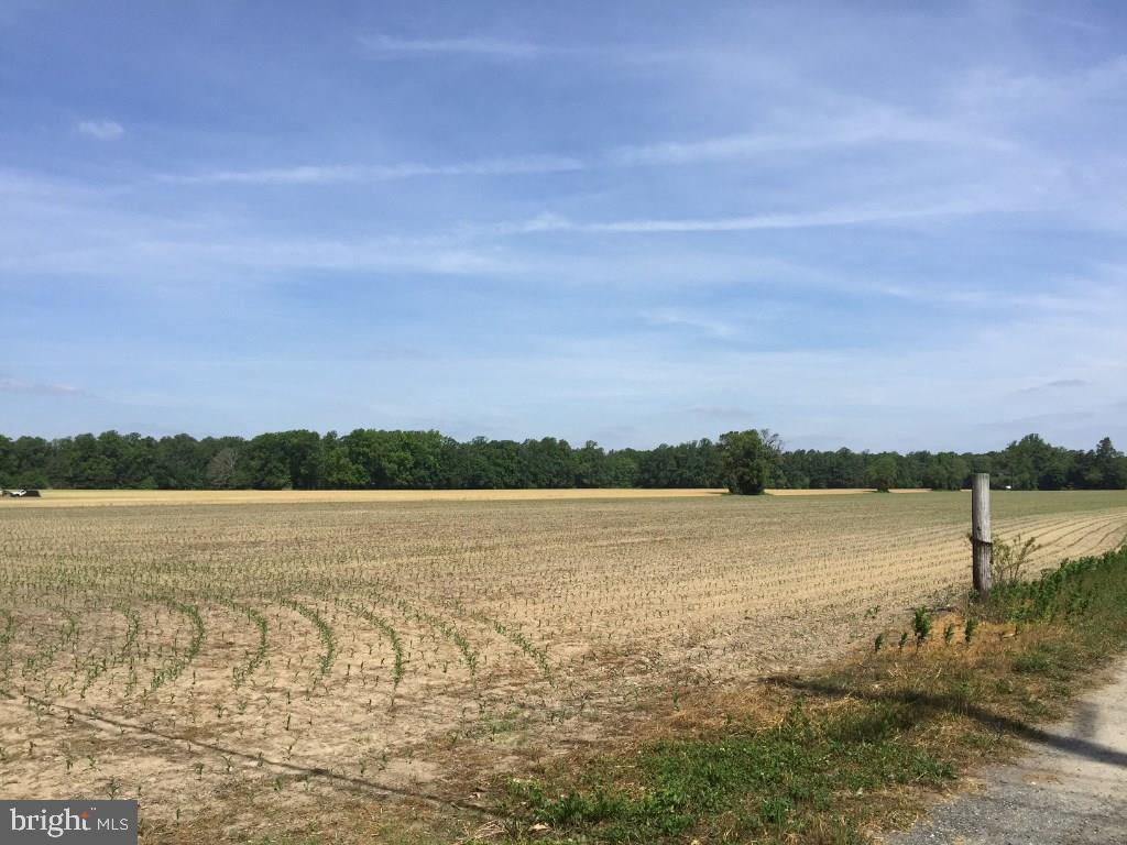 NONE AVAILABLE - Land