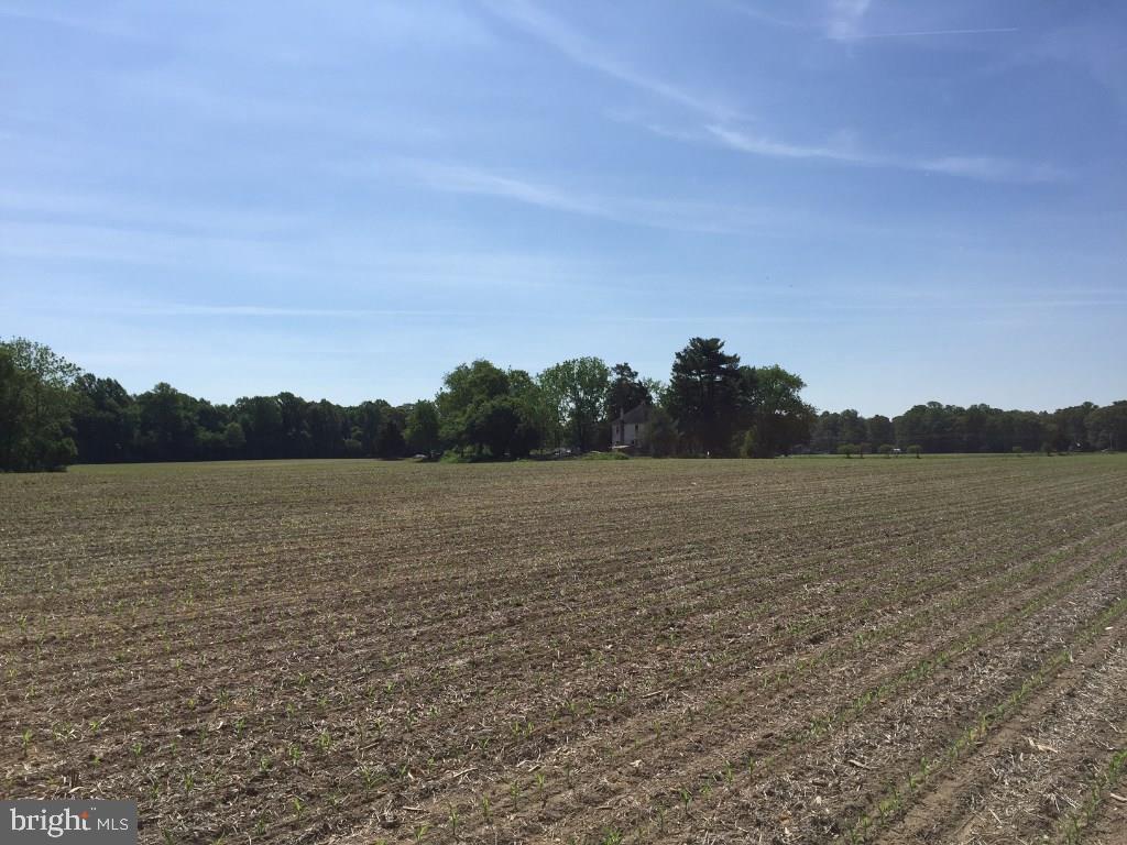 NONE AVAILABLE - Land