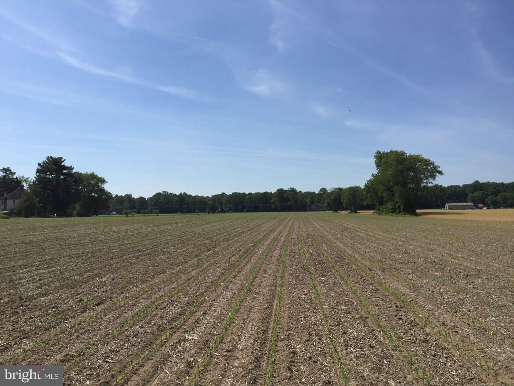 NONE AVAILABLE - Land