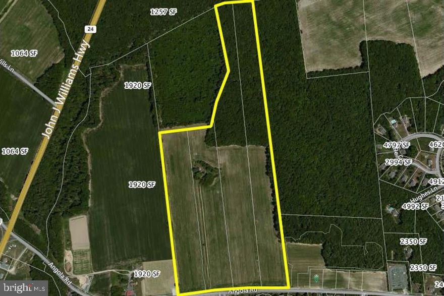 Prime development opportunity with a Lewes address and central sewer/water available. Excellent location along Angola Road, directly across from Angola By the Bay, and less than .5 mile from Rt. 24. Includes parcels 54.00 / 54.01 / 54.02 / 54.03. Total of 72 +/- acres zoned AR-1. Final price shall be $30,000/acre based upon a survey completed at buyer's expense. Additional parcels available creating total of 147 +/- acres (MLS: 700597 & 701211).