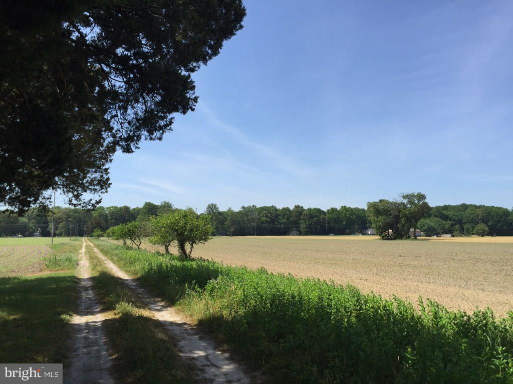 NONE AVAILABLE - Land