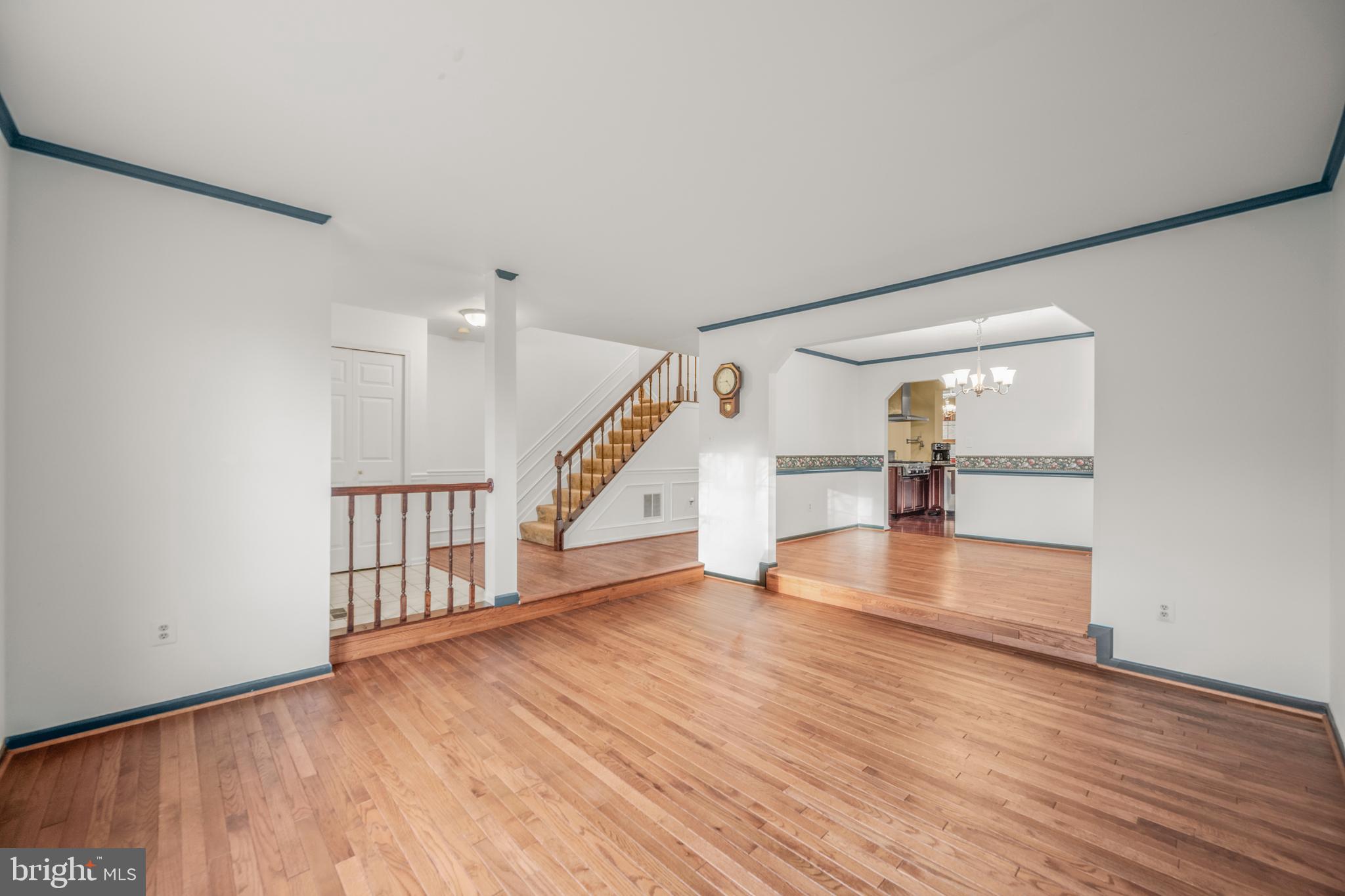 DORSEY SEARCH - Residential