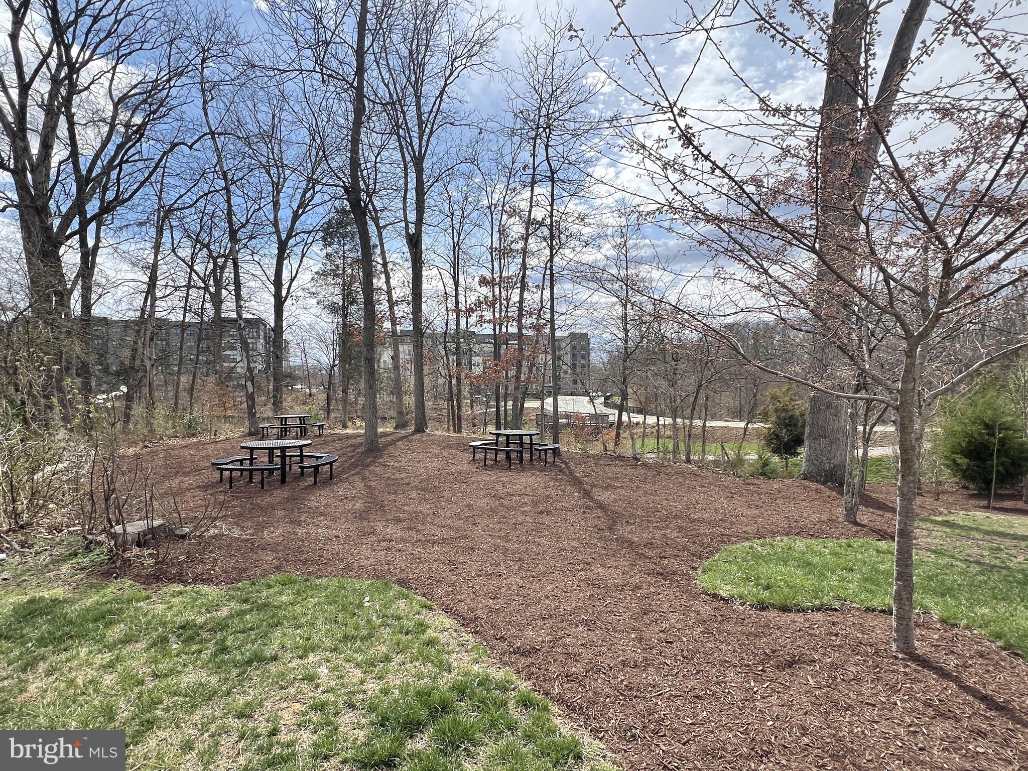 PRESERVE AT WESTFIELDS - Residential