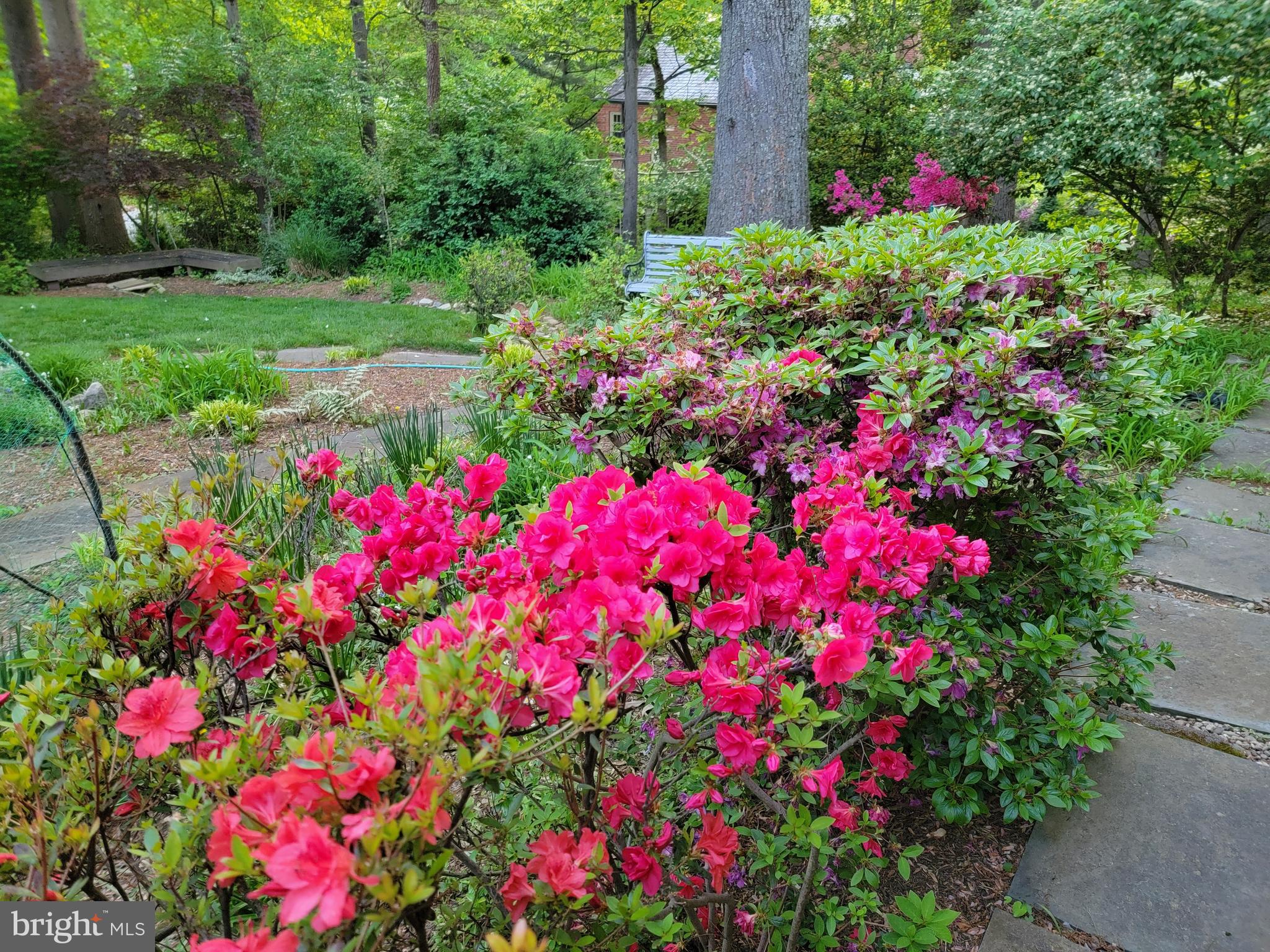 BLACK OAK CLUSTER - Residential