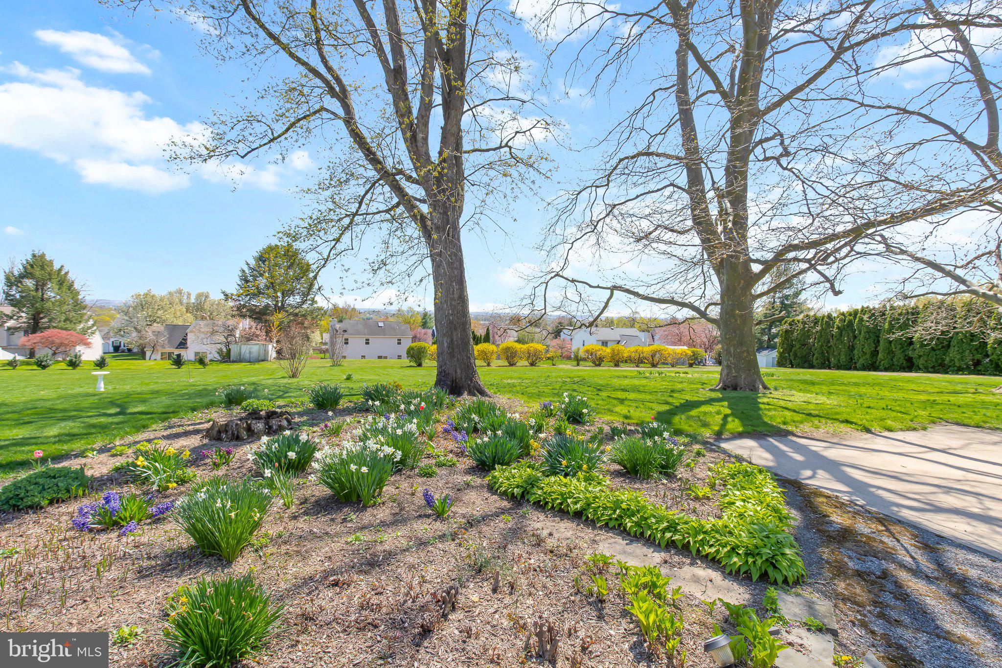 3628 HORIZON DRIVE